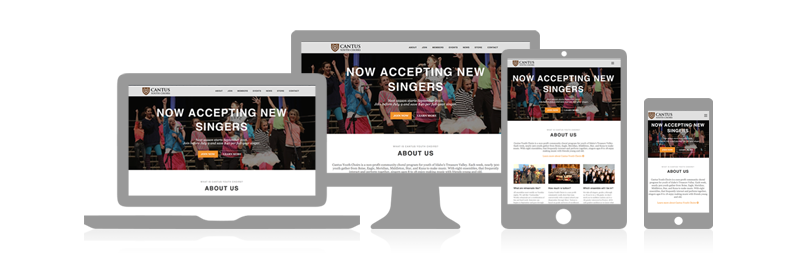 Cantus Youth Choirs has launched an all new, all-responsive website.